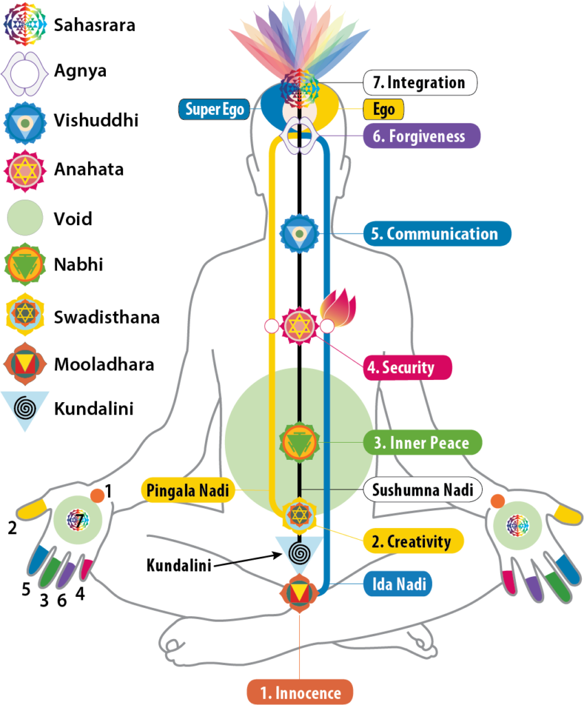 Nadis Gnostic Serpent Community   Chakra Chart English 849x1024 