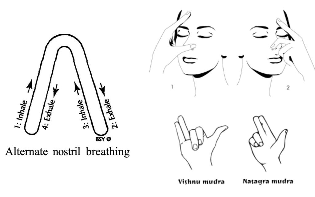 Nadi Shodhana - Gnostic Serpent Community